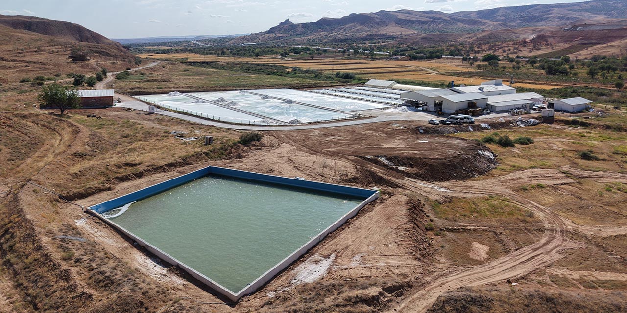 Delice tuzu İtalya'dan "lezzet etiketi" ödülü aldı