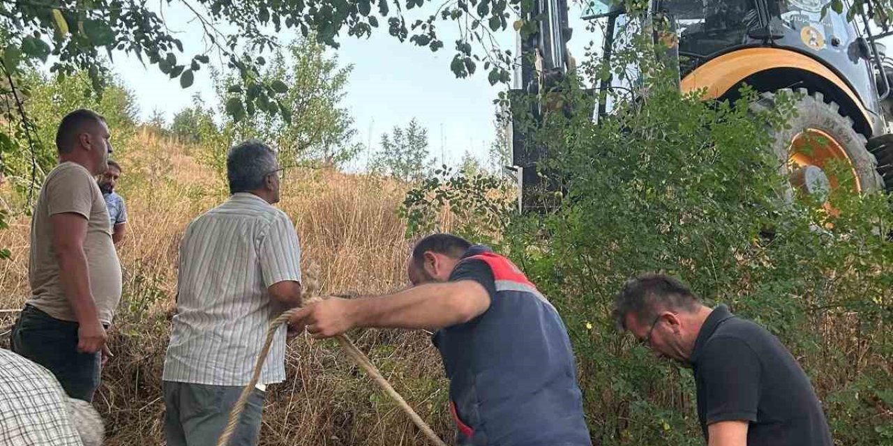 Su kuyusuna düşen inek için seferber oldular