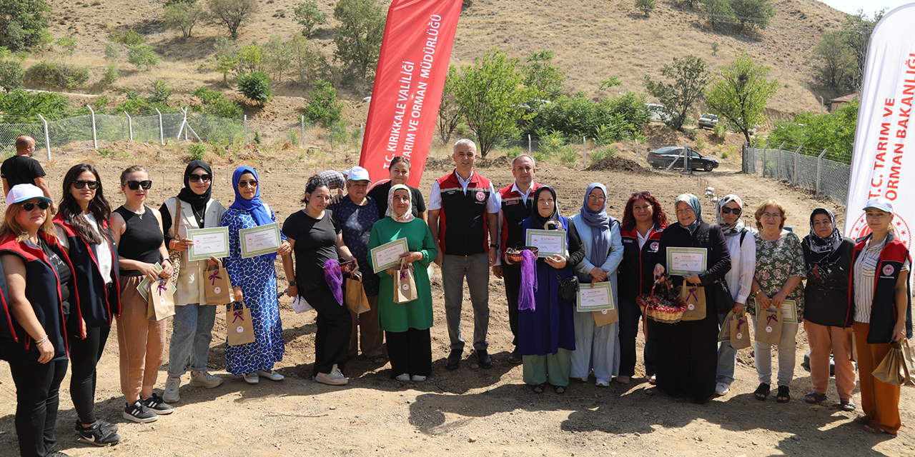 Safran kokulu hayaller gerçeğe dönüşüyor