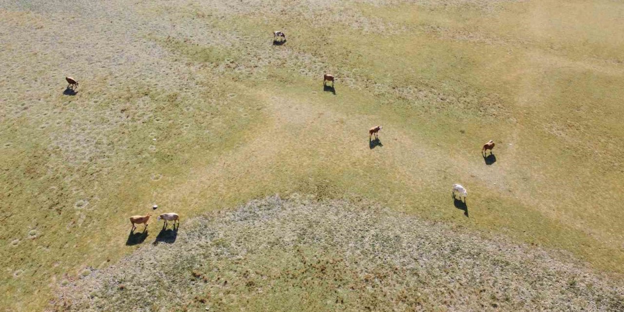 Üç zamanlı dron çekimi kuraklığı belgeledi: Gelingüllü Barajı alarm veriyor