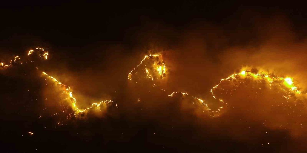 Kastamonu’daki orman yangınlarında 2 bin 736 hektar alan zarar gördü