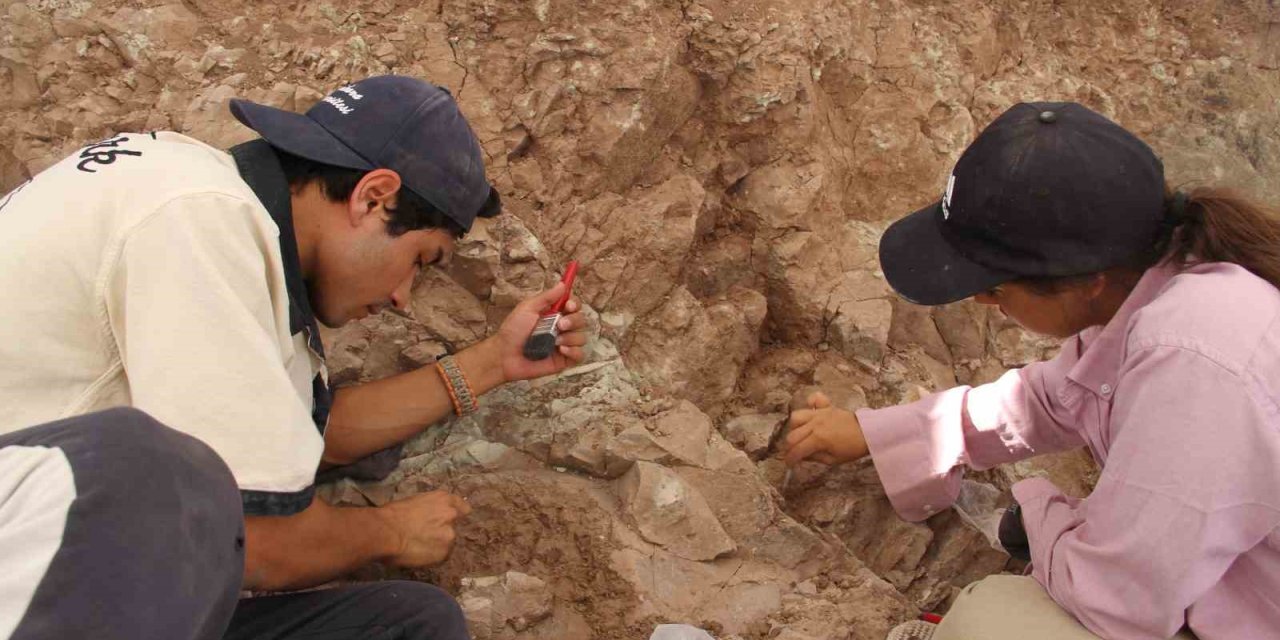 Çankırı’daki kazılarla 9 milyon yıl öncesine ait fosiller gün yüzüne çıkartılıyor