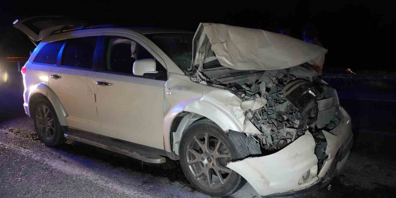 Yola çıkan hayvanlara otobüs ve cip çarptı: 3 inek telef oldu