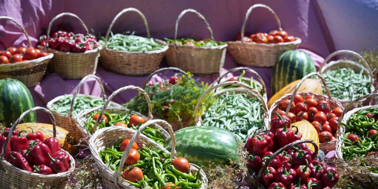 Uluslararası Çubuk Turşu ve Kültür Festivali başladı