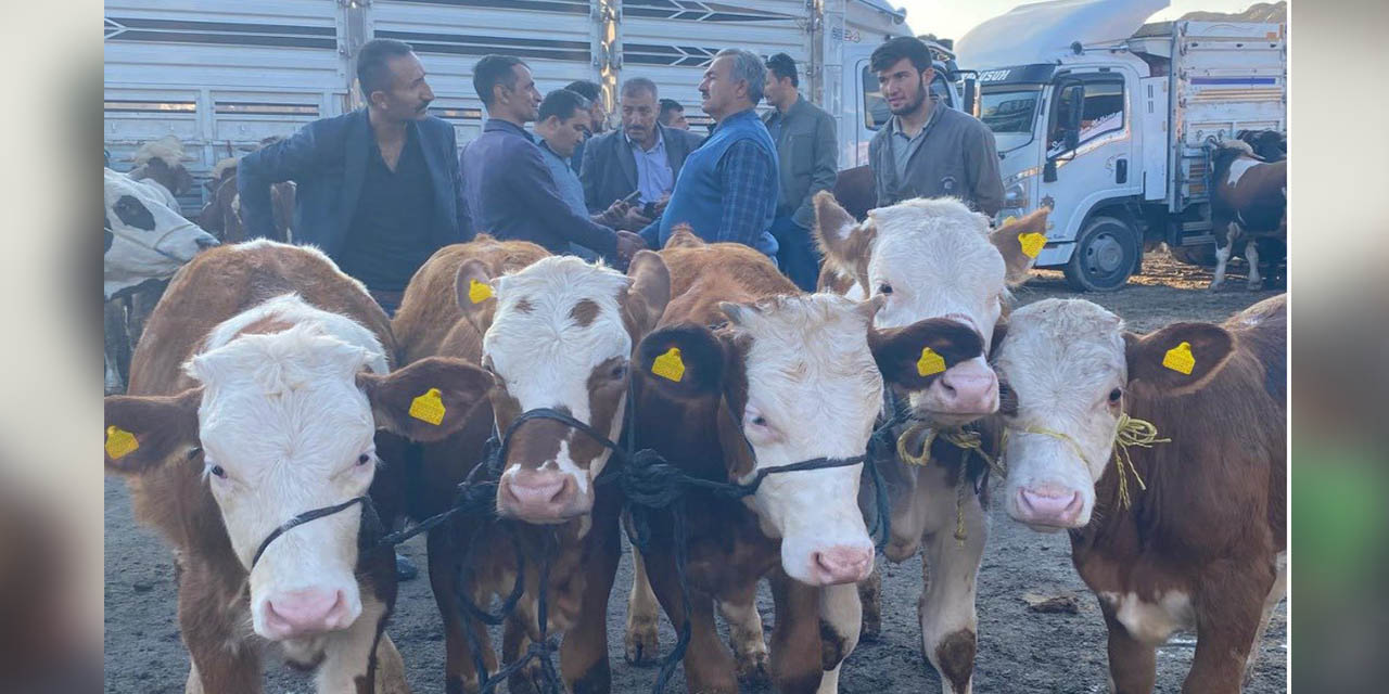 Kırıkkale’de hayvan pazarına sıkı denetim