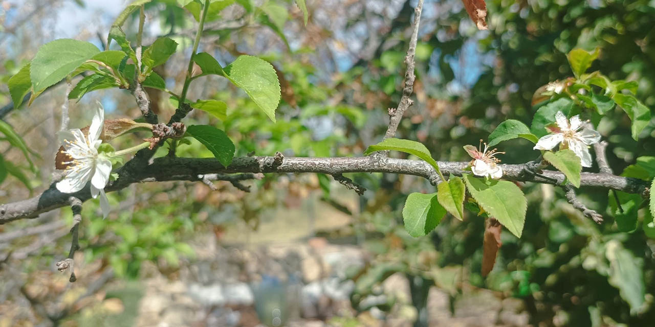 Kırıkkale’de Eylül ayında şoke eden görüntü!