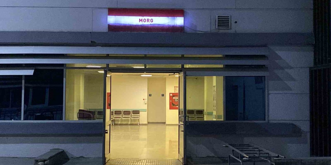 Tır şoförü park halindeki aracında ölü bulundu