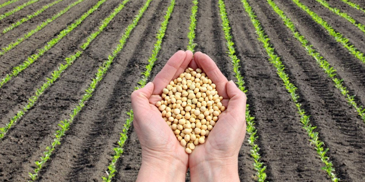 Tarımda verimlilik katma değer odaklı dönüşüm de yeni hedefler