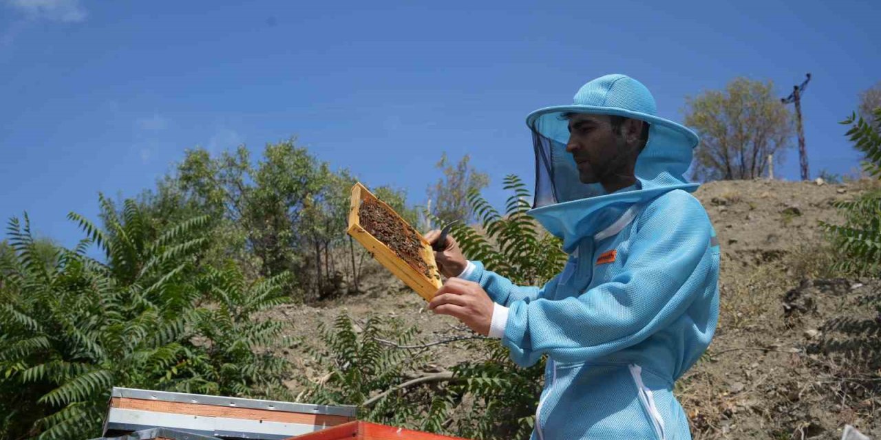 Genç arıcıdan Ankara kanyon balı: Bin 200 çeşit endemik bitki türüyle yılda 2 ton bal üretimi