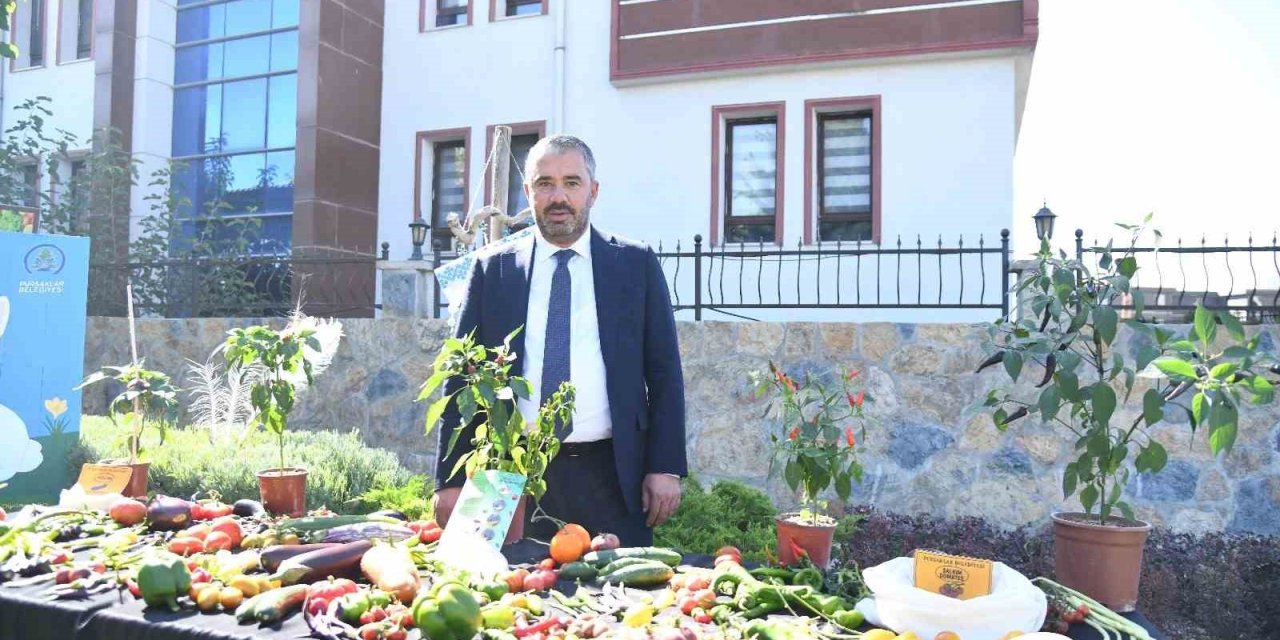 Pursaklar Belediyesi ‘Ata Tohumları’ndan elde ettiği sebzelerin hasadını yaptı