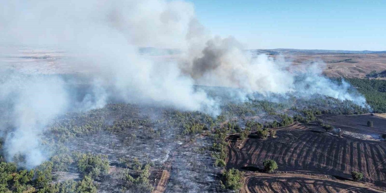 Çorum’da tarım arazisindeki yangın ormanlık alana sıçradı