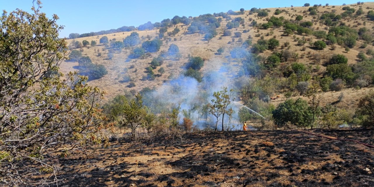 Yozgat’ta makilik alanda çıkan yangın 15 dönüm alanda etkili oldu