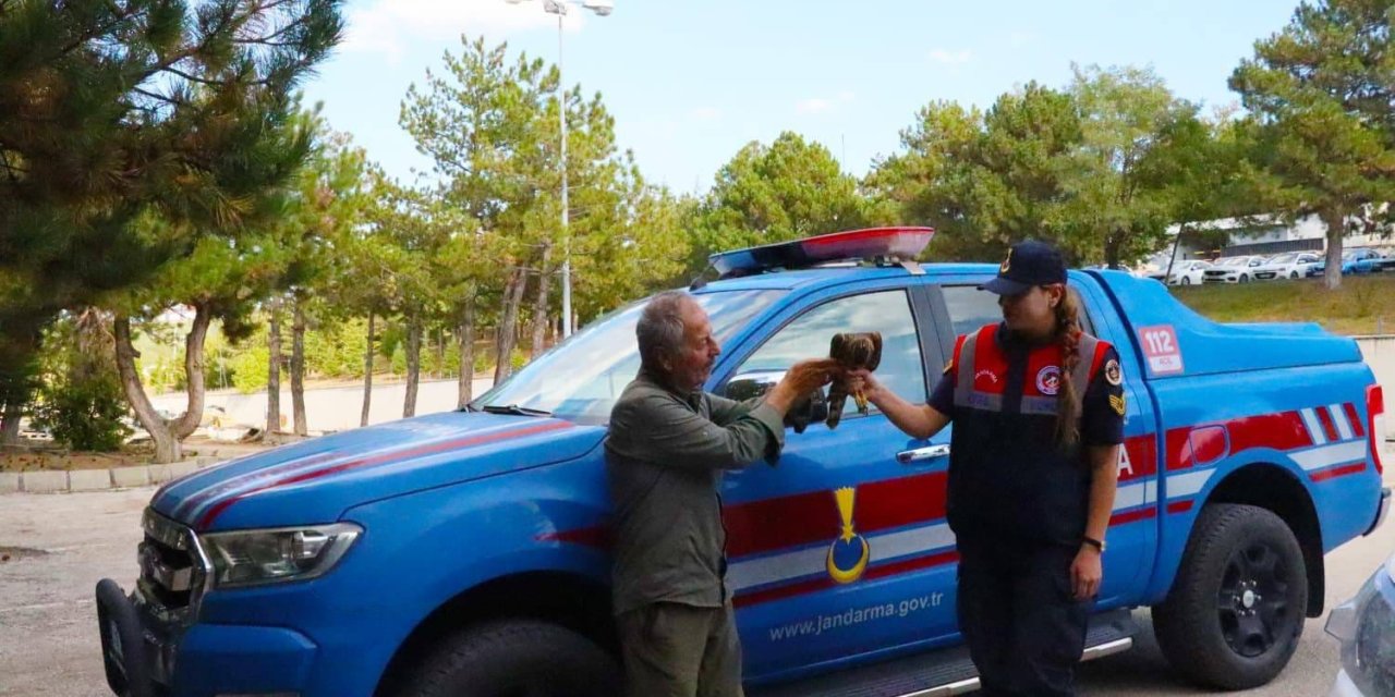 Yaralı Çakır kuşuna Jandarma ekiplerinin şefkatli eli uzandı
