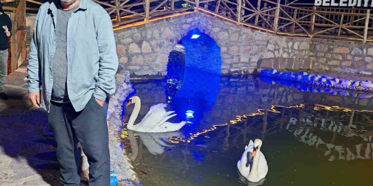 Kastamonu’da incir ağacında düşen vatandaş hayatını kaybetti