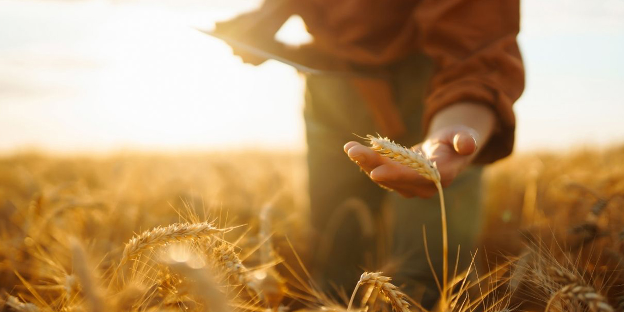 Tarım ve Orman Bakanlığından tarıma destek
