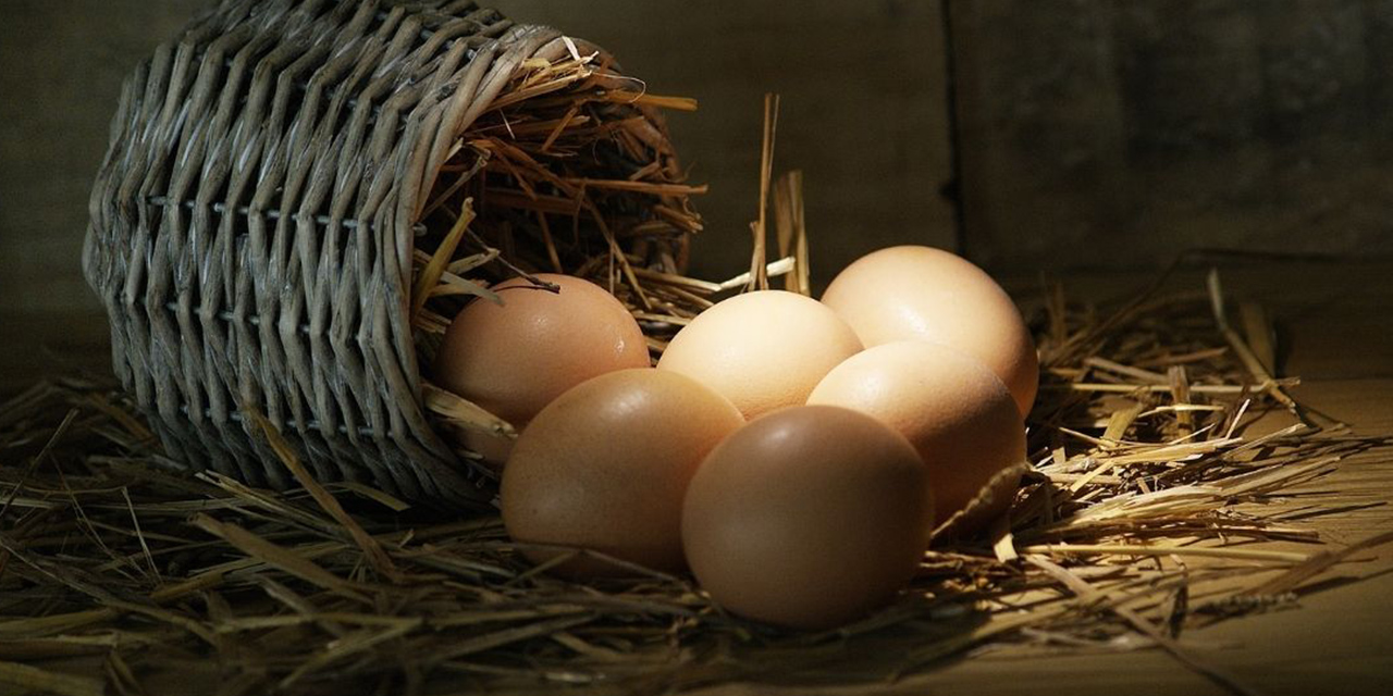 Yumurta fiyatları yükseldi!