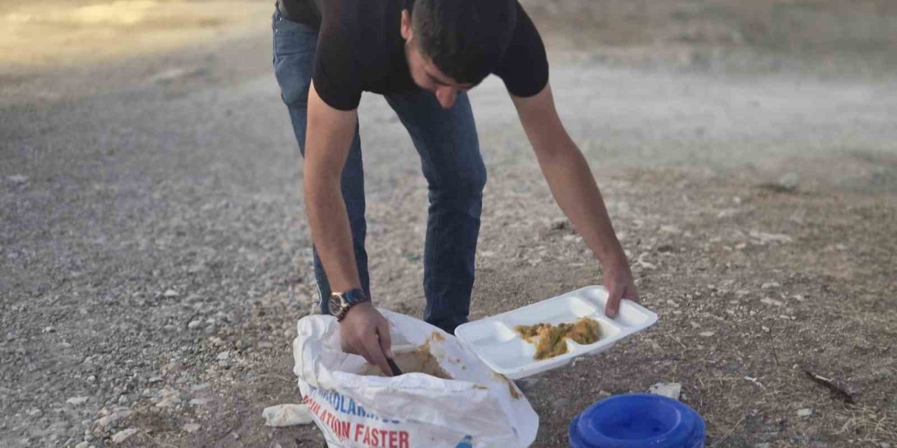 İş yerinden artan yemekleri sokak hayvanları için doğaya bırakıyor