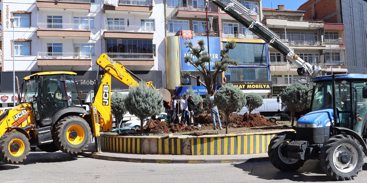 Cadde ve sokaklar yeşilleniyor