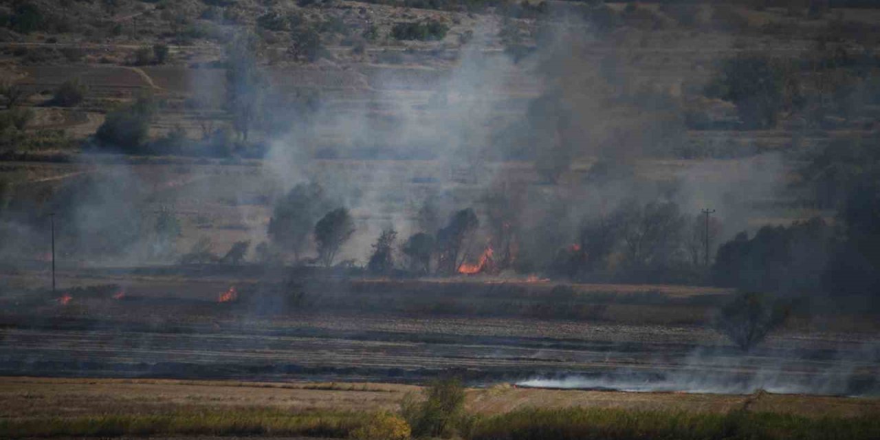 Kastamonu’da çeltik tarlasında çıkan yangın söndürüldü