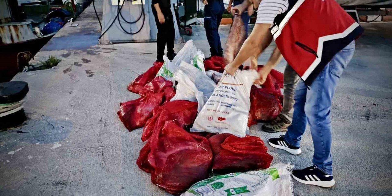 Kastamonu’da kaçak avlanan 142 kalkan balığına el konuldu