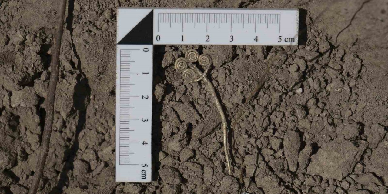 Troya’da 4 bin 500 yıllık altın broş ve ender yeşim taşı gün ışığına çıkarıldı