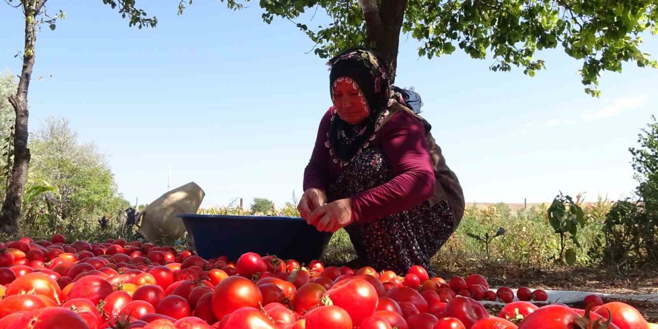Üç yıl ömürlü ev yapımı salçalar pişirilmeye başlandı
