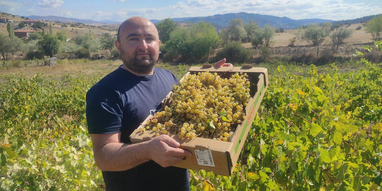 Pekmez kazanları kaynadı