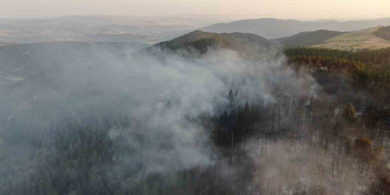 Vali Taşolar’dan orman yangınını ihbar eden çocuğa teşekkür