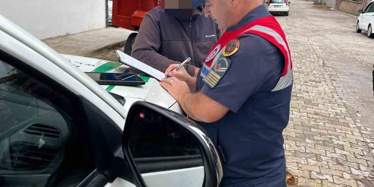 Pitbull besledi 16 bin lira ceza yedi