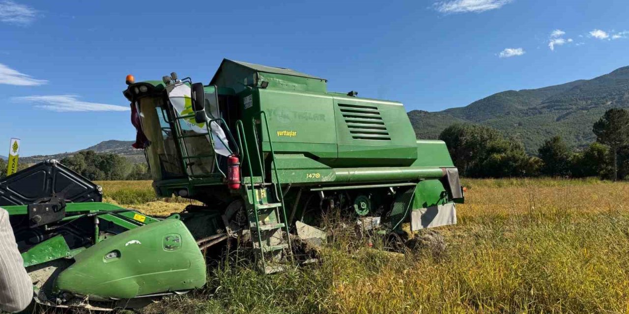 TAKE projesi kapsamında ekilen çeltiğin hasadına başlandı