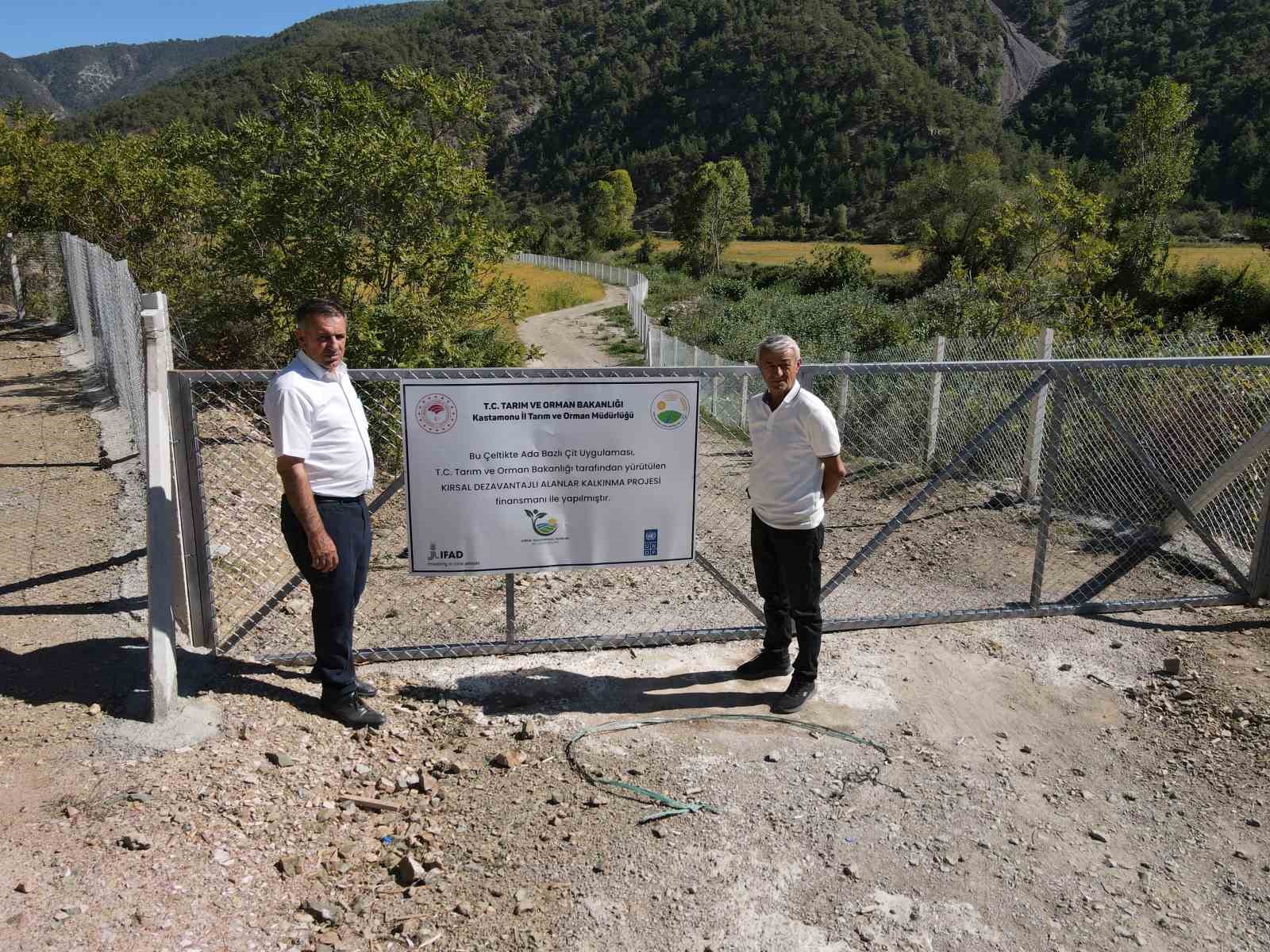 Domuzların talan ettiği çeltik tarlaları, devlet desteğiyle yeniden verimli hale getirildi