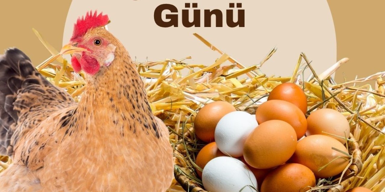 Türk Veteriner Hekimleri Birliği Başkanı Eroğlu: "Yumurta doğanın en eşsiz gıda kaynaklarından biridir"