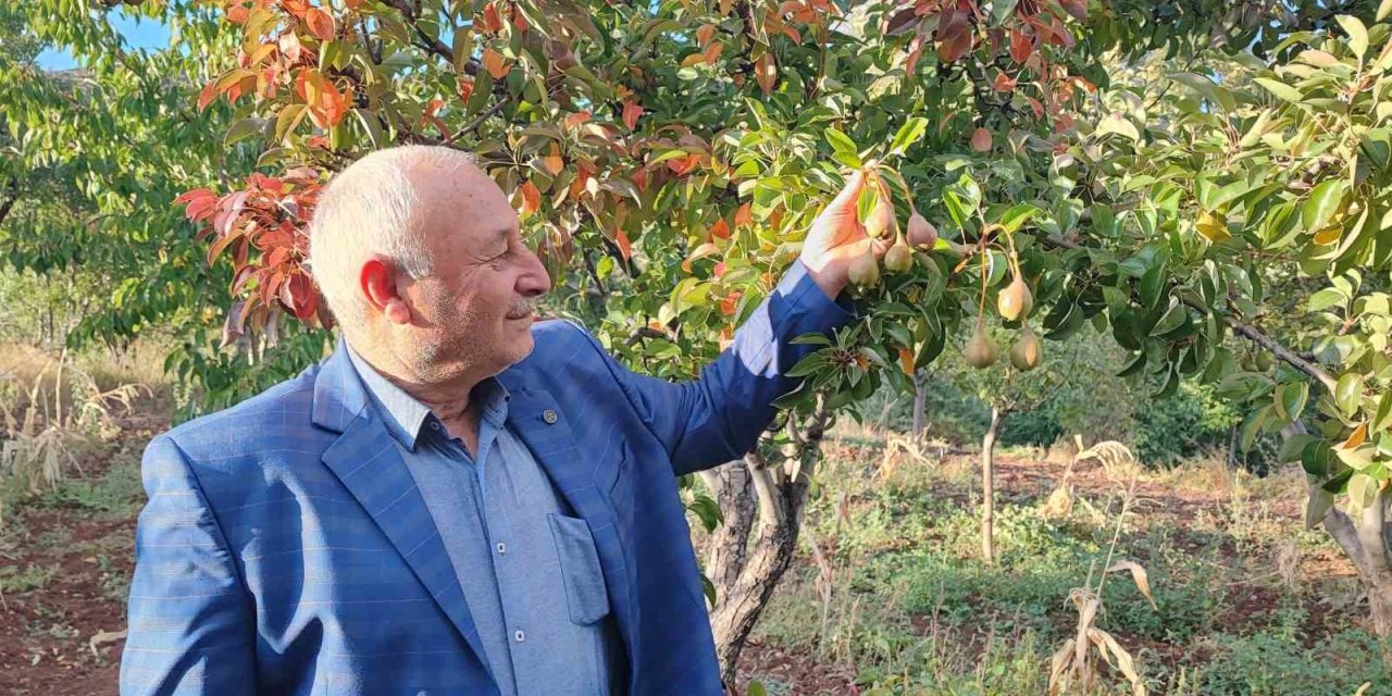 60 yaşındaki çiftçi: "İlk kez böyle bir şey görüyorum"