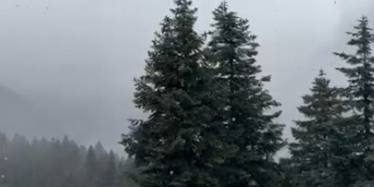 Ilgaz Dağı’nda kar yağışı etkili oluyor