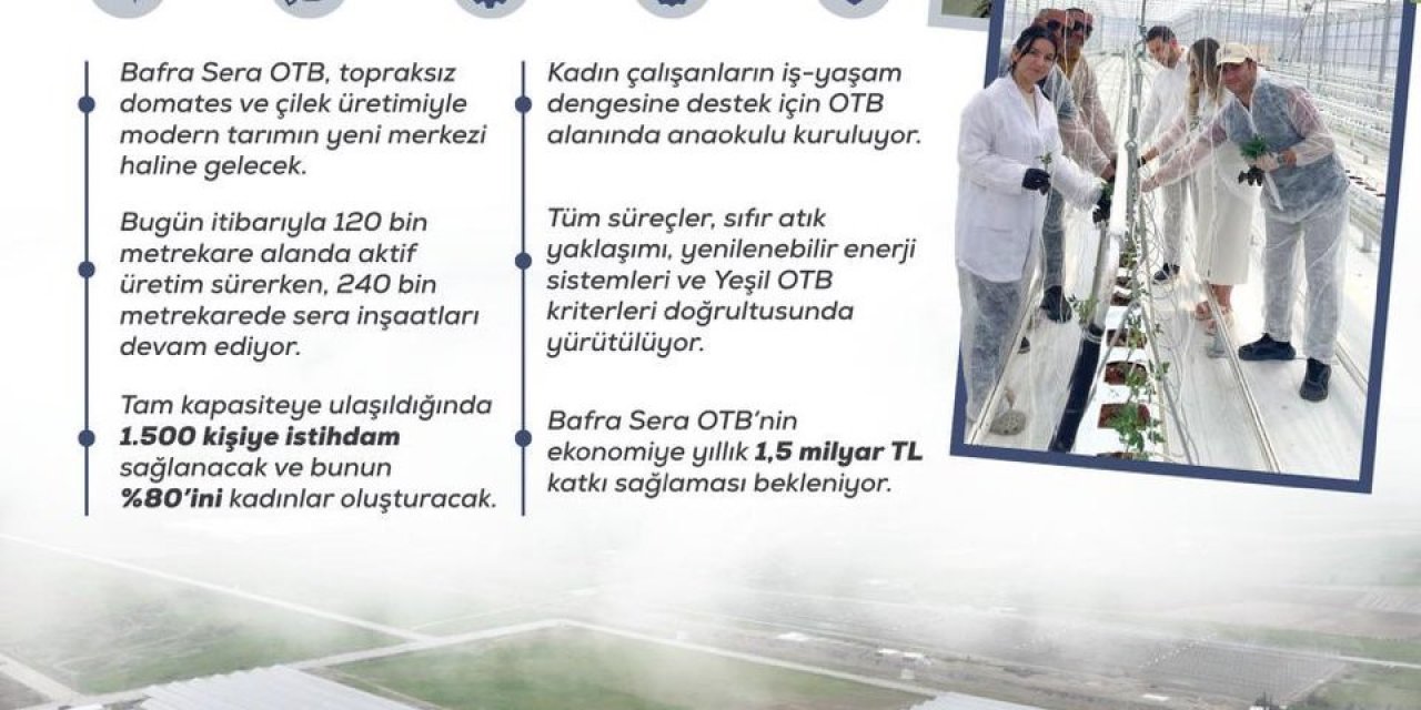 Kadın eliyle yeşeren tarım: Bafra Sera OTB, yıllık 1,5 milyar liralık katkı sunacak