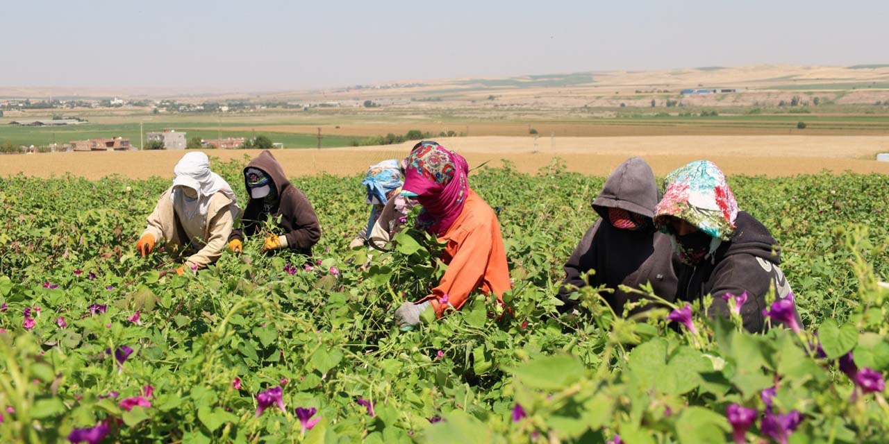 Öztürk: “Kadın çiftçilerimiz olmazsa olmazımızdır”