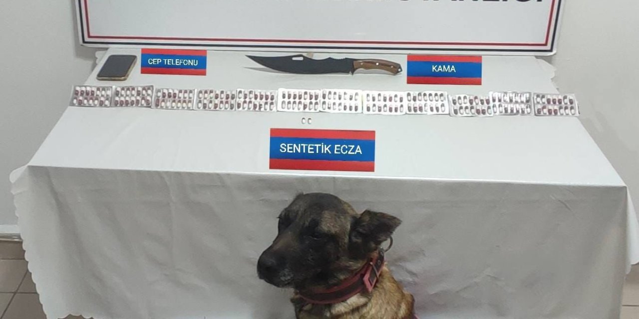 Üzerinde 170 adet uyuşturucu hapla yakalandı