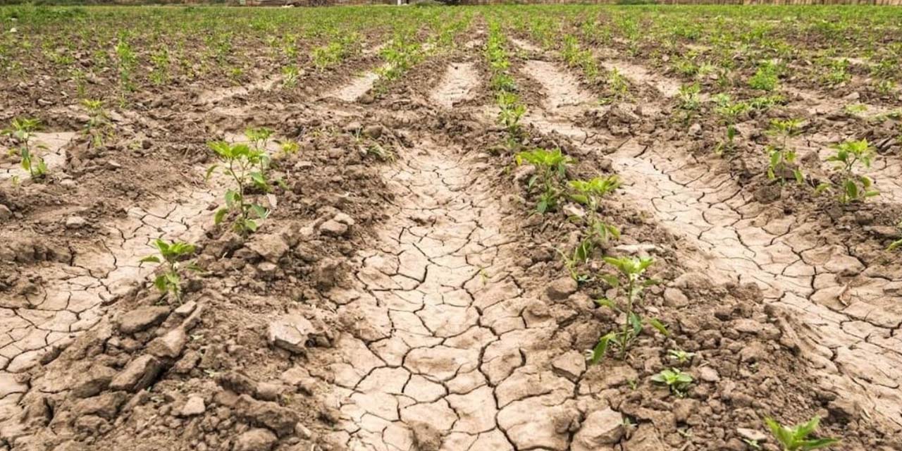 52 yılın en kurak dönemi