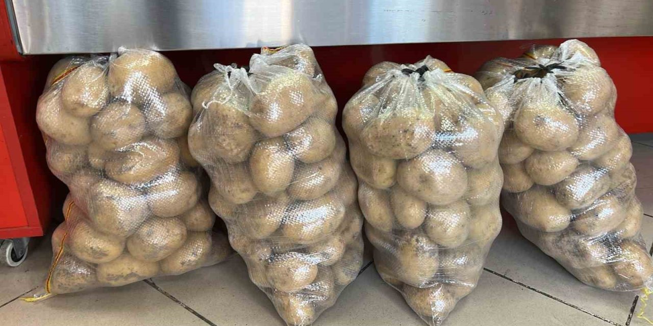 Kastamonu’da patates hasadı sürüyor