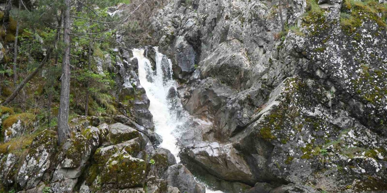 Ormanın içerisindeki şelale görenleri mest ediyor