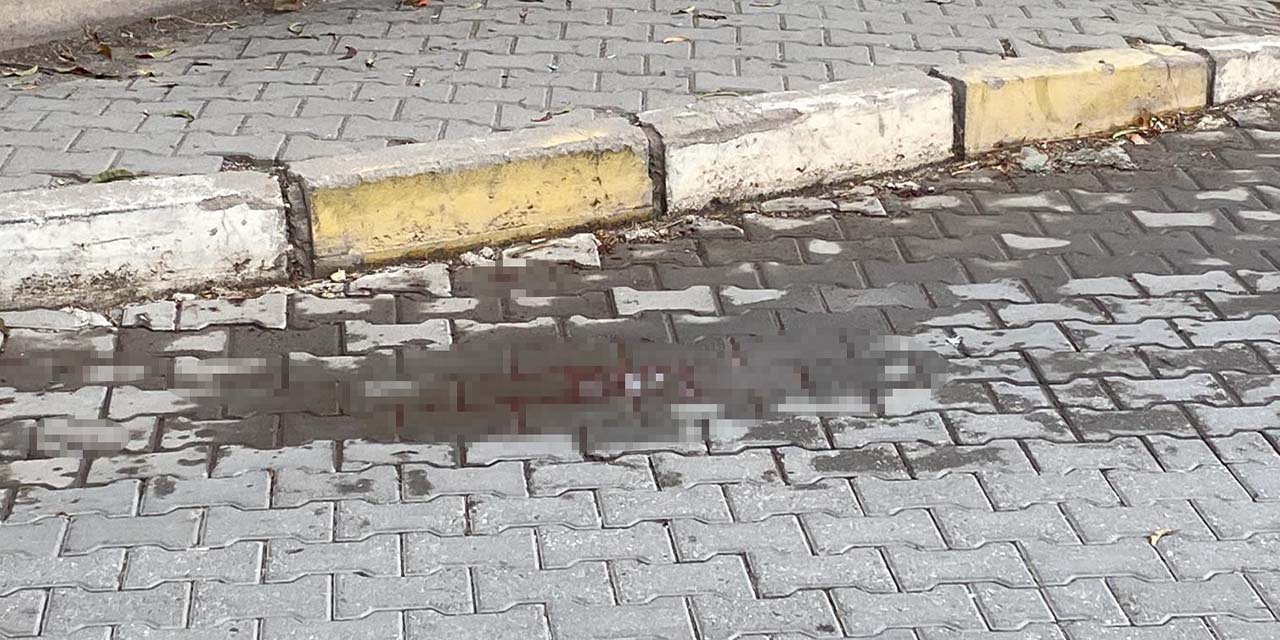 Kadın cinayeti! Eşini öldürdü, kendini yaraladı!