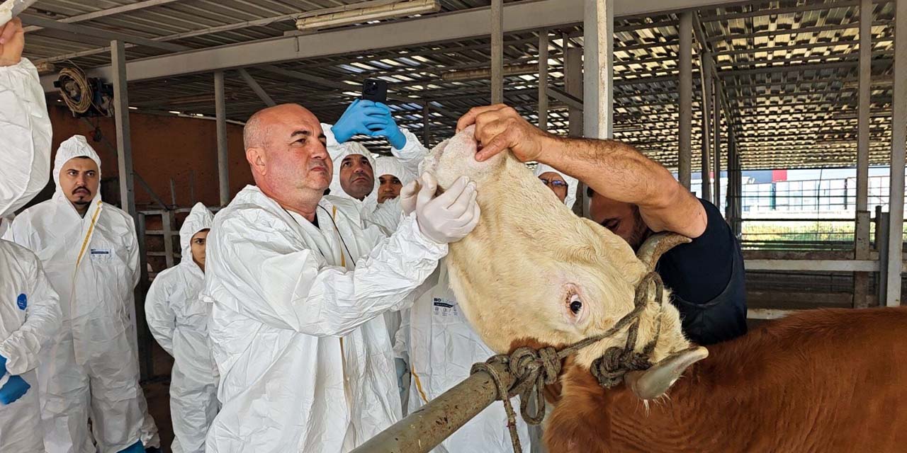 Hayvan üreticilerine probang eğitimi