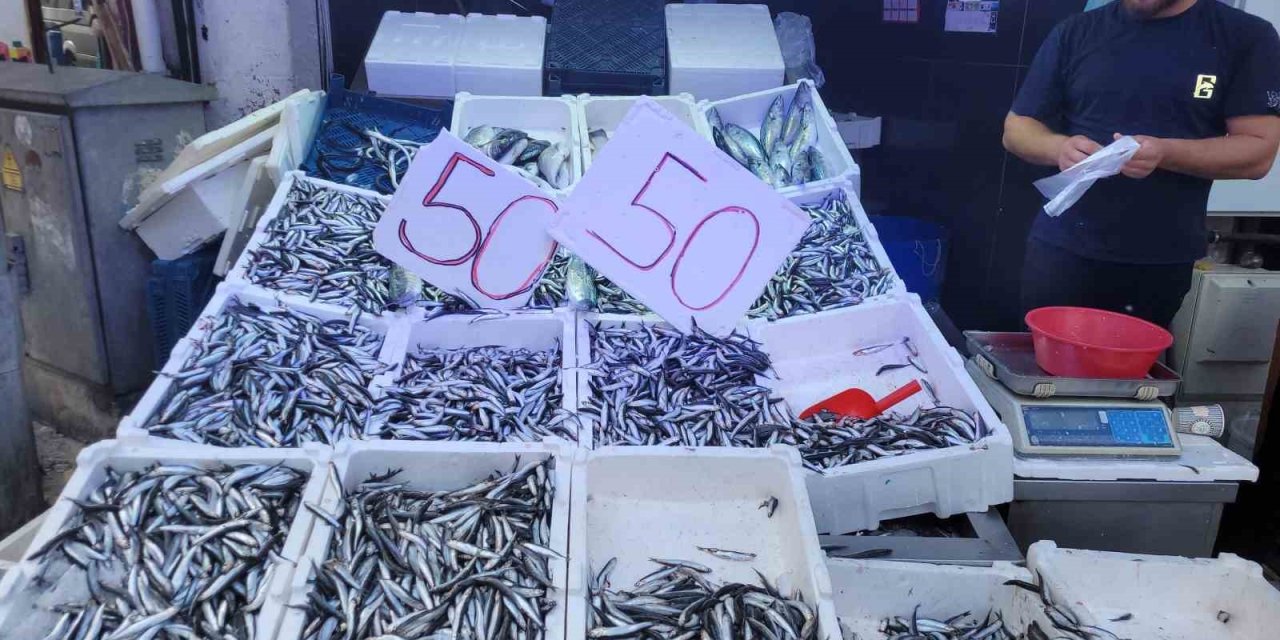 Karadeniz hamsisi tezgahları doldurdu: Kilosu 50 lira