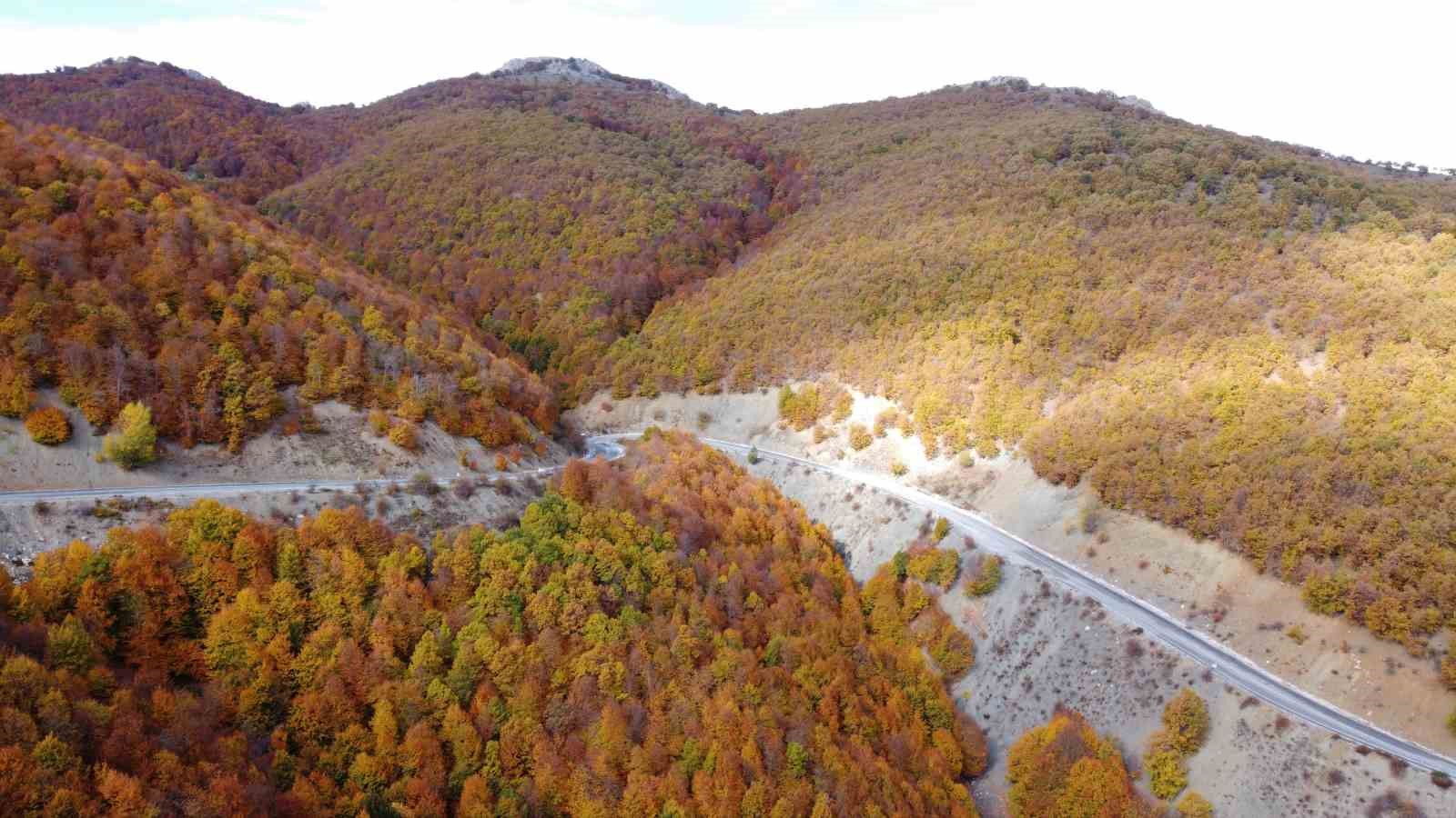 Adeta doğada bir tablo, Şebek Geçidi’nde sonbahar güzelliği mest ediyor