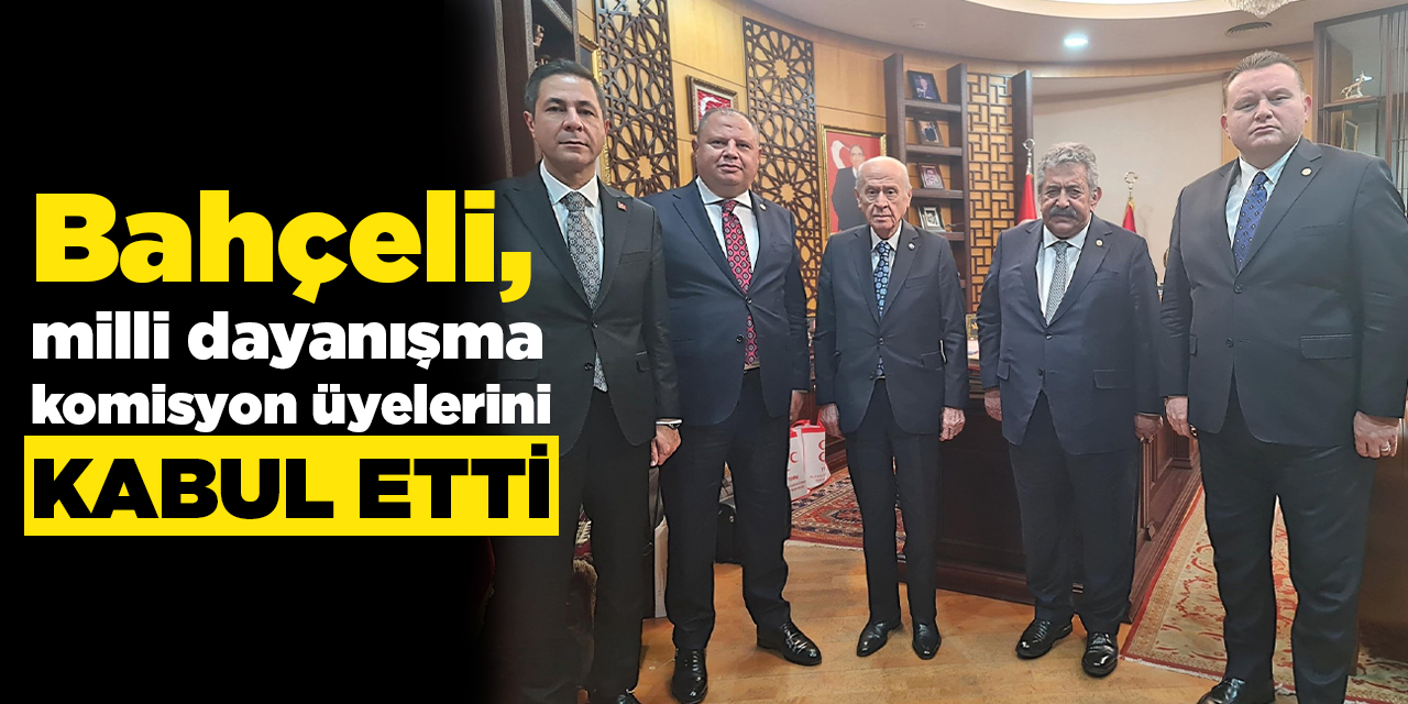 Bahçeli, milli dayanışma komisyon üyelerini kabul etti