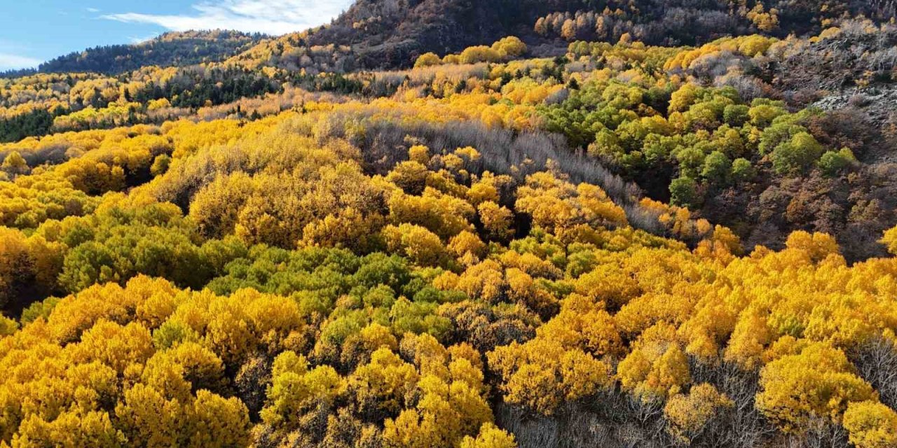 Ankaralıların doğayla buluşma noktası: "Karagöl Tabiat Parkı"