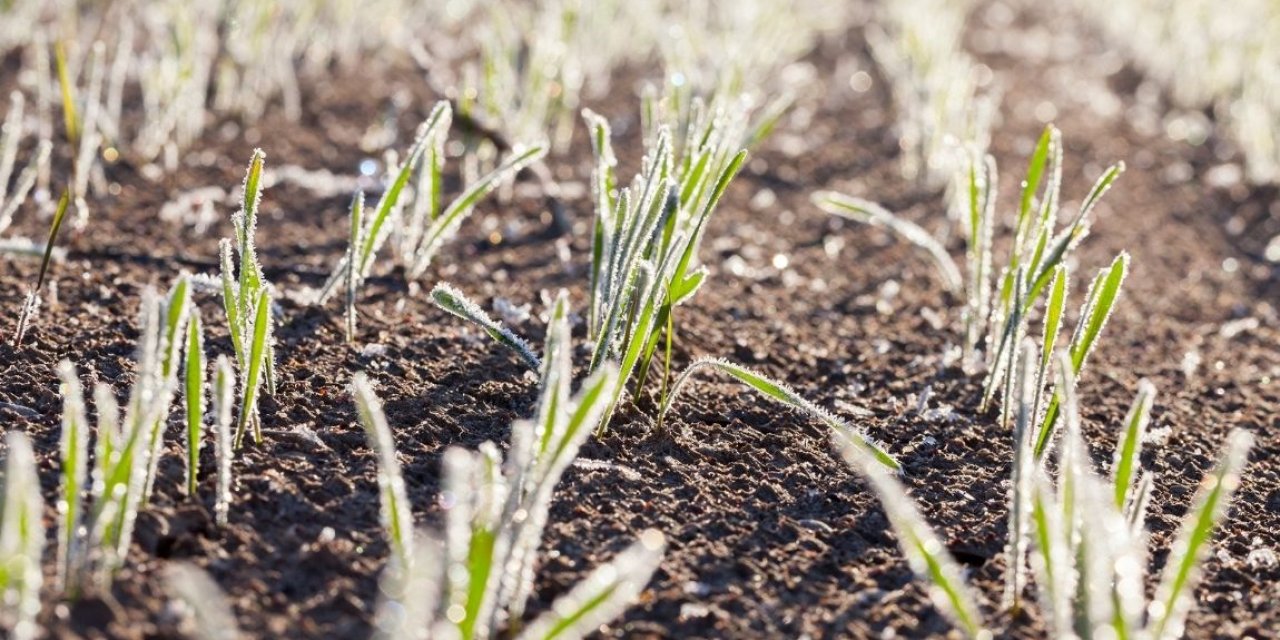 Üreticiye dev destek!