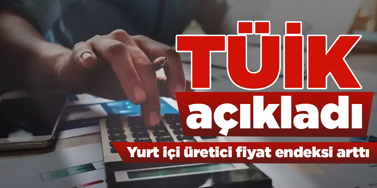 Yurt içi üretici fiyat endeksi arttı