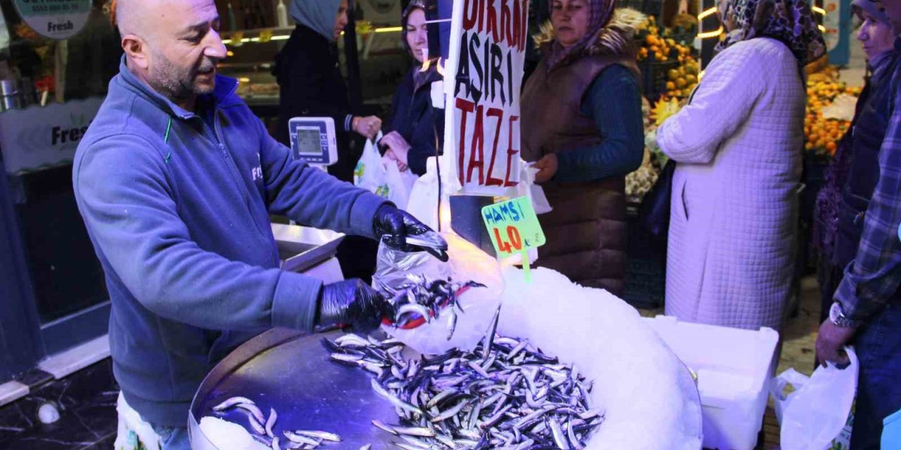 Çorum’da hamsinin kilosu 40 liraya düştü: Metrelerce uzunlukta kuyruk oluştu