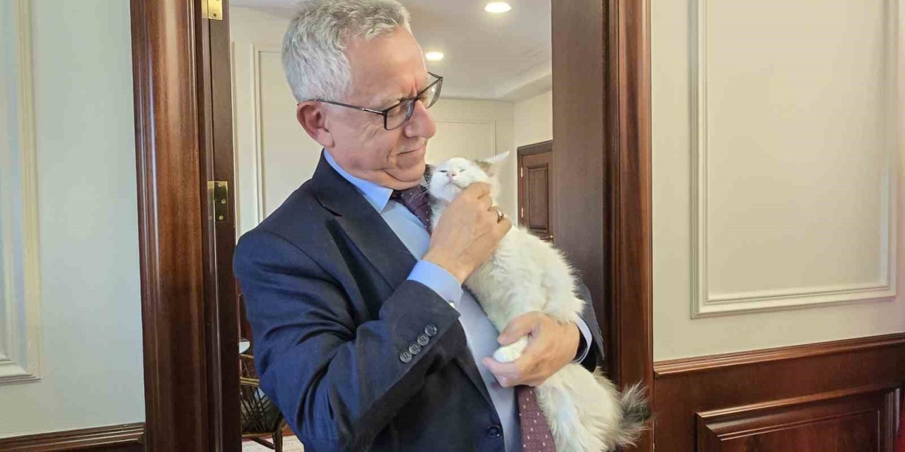 Makamında kedi besleyen Başkan Arslan, hayvan dostu projeleriyle de örnek oluyor